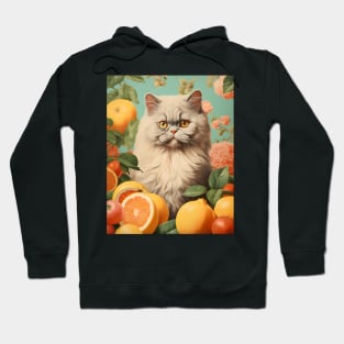 Vintage Persian Cat Collage Surrounded by Citrus Fruit - Unique Cat Art Hoodie